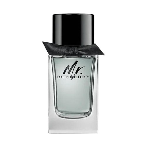 Burberry MR. BURBERRY