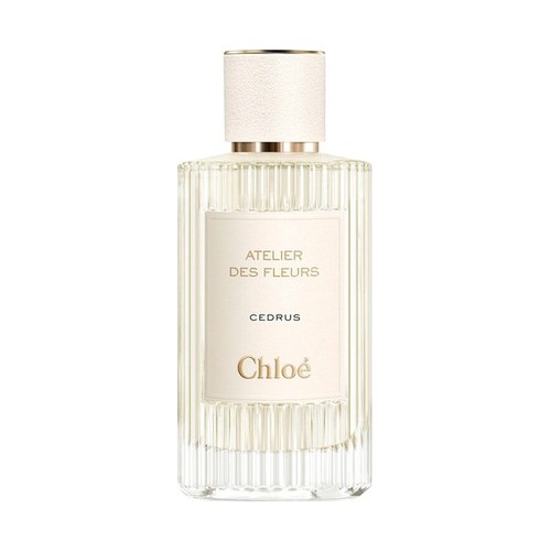 Chloe ATELIER DES FLEURS CEDRUS