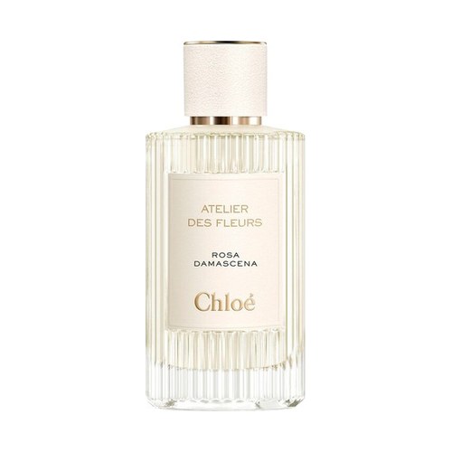 Chloe ATELIER DES FLEURS ROSA DAMASCENA