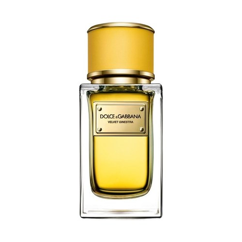 D&G VELVET GINESTRA