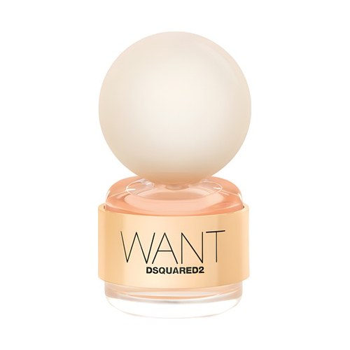 Dsquared2 WANT