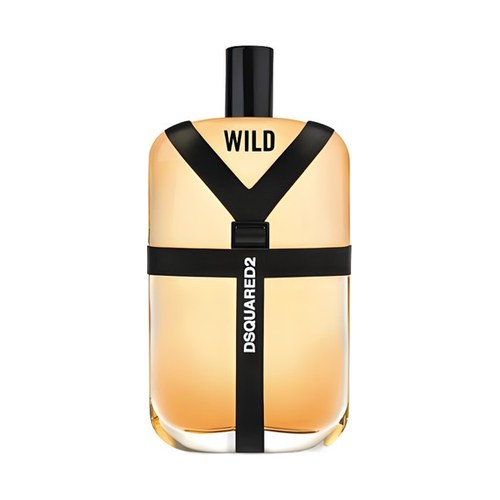 Dsquared2 WILD man