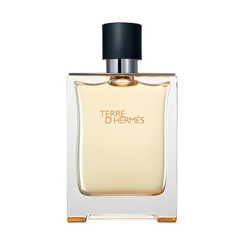 Hermes TERRE D'HERMES