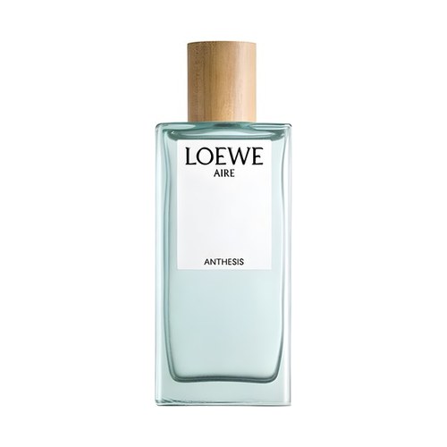 Loewe AIRE ANTHESIS