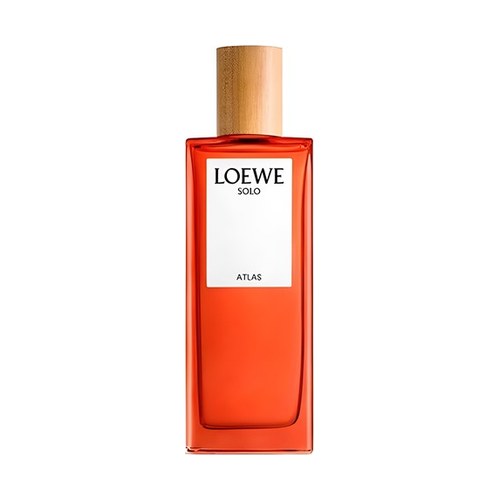 Loewe SOLO ATLAS