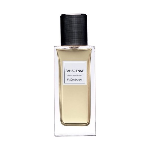 YSL SAHARIENNE